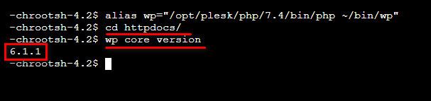 Chạy command WP CLI để kiểm tra phiên bản WP Core đang chạy.