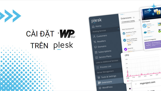 Cài đặt WP CLI trên Plesk Panel