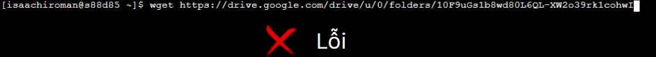 Chạy lệnh wget bằng link Google Drive trực tiếp sai cách.