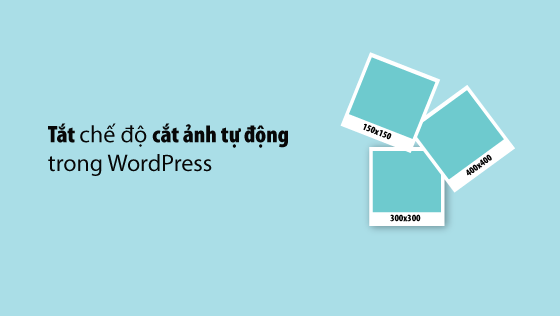Tắt cắt ảnh tự động: Lựa chọn sáng suốt cho sự tối ưu