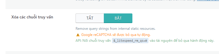Xóa chuỗi phiên bản trong plugin Litespeed cache.