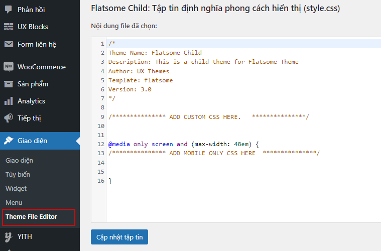 chan chinh sua tep trong wordpress dashboard 1