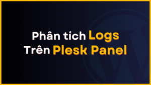 phan tich logs tren plesk panel thumnail