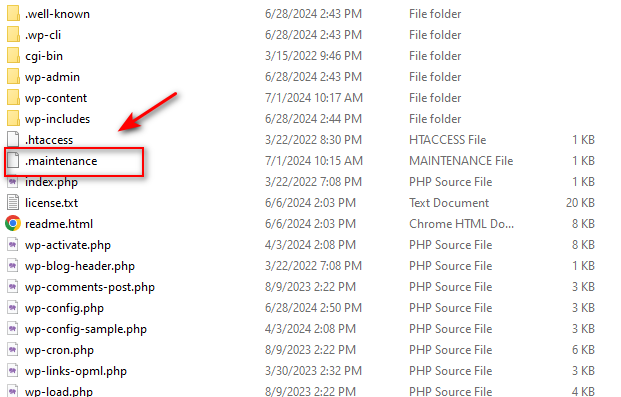 tat thong bao bao tri khi qua trinh cap nhat wordpress bi treo 1